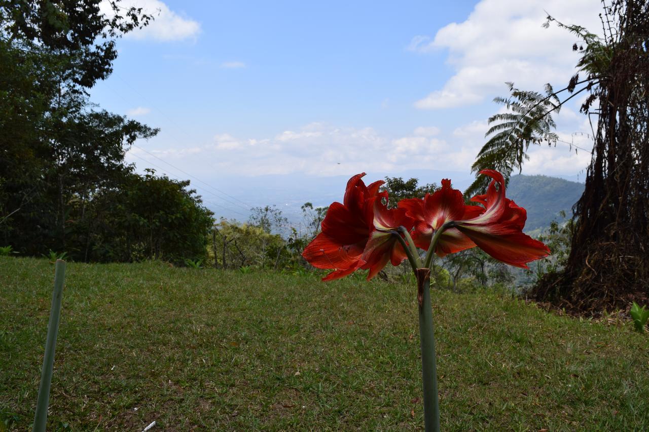 Mirador Valle Del General La Ese Ngoại thất bức ảnh