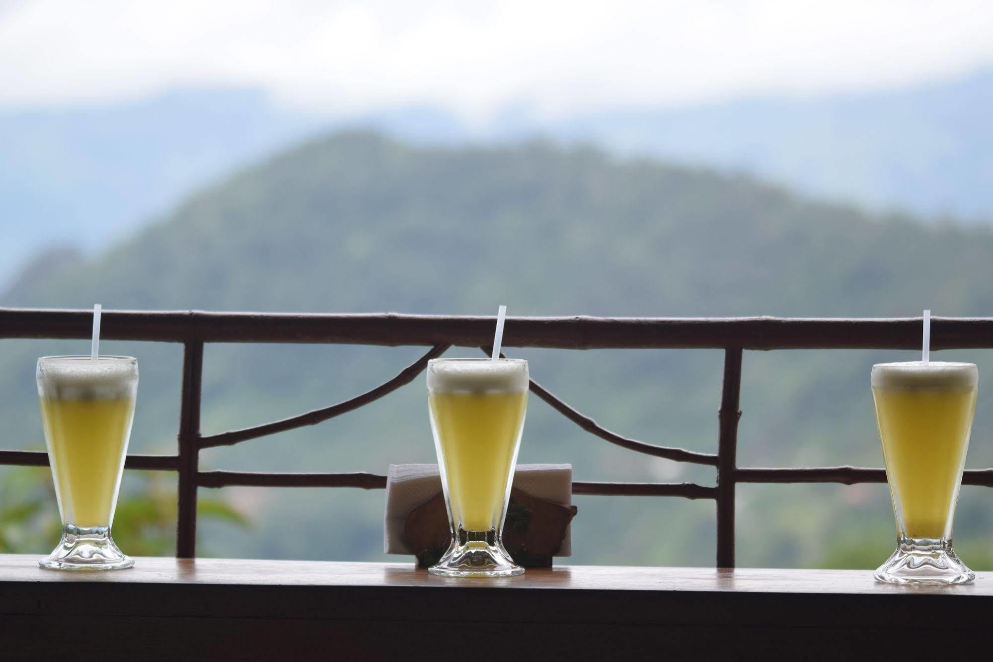 Mirador Valle Del General La Ese Ngoại thất bức ảnh
