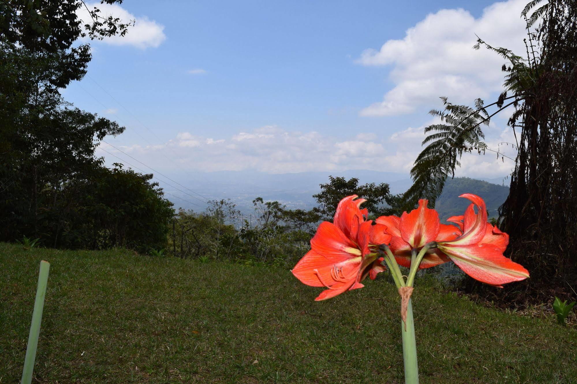 Mirador Valle Del General La Ese Ngoại thất bức ảnh